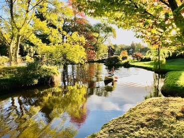 An einem wunderschönen, ruhigen Tag paddelt jemand mit dem Kajak auf einem friedlichen, spiegelglatten Fluss, umgeben von üppigen, sonnenbeschienenen Bäumen in einem lebendigen, grünen Park.