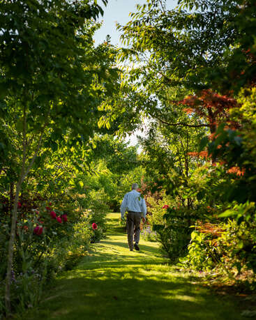 Ein Mann spaziert einen üppig grünen Gartenweg entlang, umgeben von leuchtenden Blumen und dichten Bäumen, gebadet in warmem Sonnenlicht, was eine friedliche, ruhige Atmosphäre schafft.