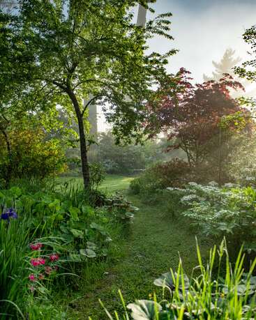 Ein üppiger Gartenweg schlängelt sich durch sattgrünes Laub, bunte Blumen und sonnenbeschienene Bäume im Morgennebel und schafft eine ruhige, friedliche und bezaubernde Atmosphäre.