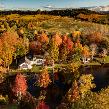 Un paysage automnal pittoresque, où des arbres aux couleurs vives entourent de charmantes maisons et un étang miroitant, tandis que des vignobles vallonnés s'étendent à perte de vue sous un ciel limpide.