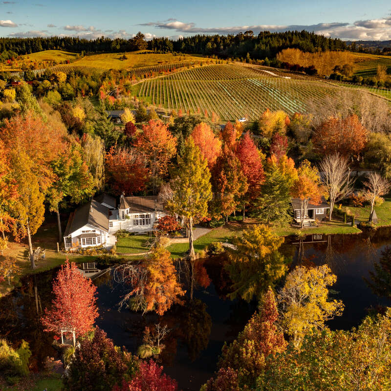 Eine malerische Herbstlandschaft mit leuchtend bunten Bäumen, die charmante Häuser und einen spiegelglatten Teich umgeben, während sich unter dem klaren Himmel sanfte Weinberge bis in die Ferne erstrecken.