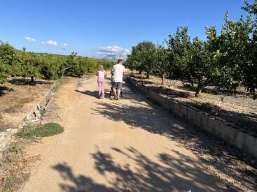 A man and a girl walk down a sunny path between rows of trees, surrounded by greenery, under a clear blue sky with scattered clouds.