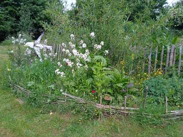Esta imagen muestra un exuberante jardín rústico con flores silvestres, plantas verdes, una valla de madera y un hilandero de viento decorativo, rodeado de árboles altos y hierba.