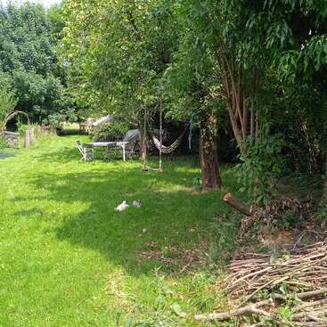 A sunlit garden with lush green grass, trees providing shade, a hammock, outdoor seating, a swing, two rabbits, and a pile of cut branches.