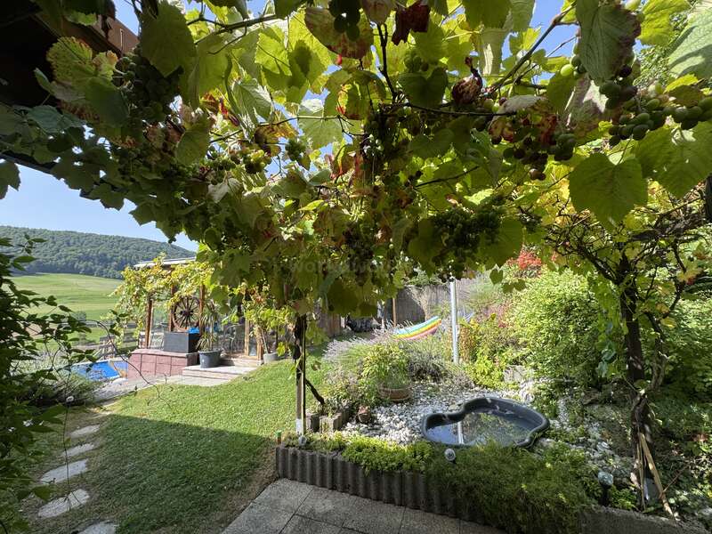 A lush garden scene features grapevines overhead, a small pond, hammock, and green grass, with a serene countryside backdrop, perfect for relaxing outdoors.
