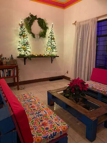 Uma sala de estar aconchegante decorada para o Natal, com duas mini-árvores iluminadas, uma coroa de flores, almofadas florais em sofás de paletes azuis e uma planta poinsétia sobre a mesa.