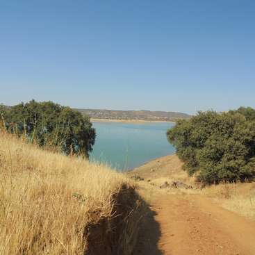 Das Bild zeigt eine ruhige Landschaft mit einem Feldweg, einem Gewässer und einem klaren blauen Himmel, mit Bäumen und Grasflächen im Vordergrund.