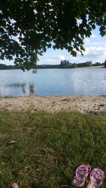 A peaceful lakeside scene with calm water, sandy shore, green grass, leafy tree canopy above, pink flip-flops on the ground, and feet in the foreground.