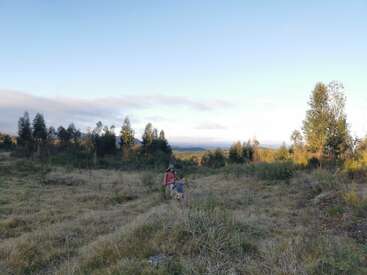 Una mujer y un niño caminan por un campo cubierto de hierba y rodeado de árboles. El cielo está despejado, el paisaje distante, creando una atmósfera tranquila, natural y serena.