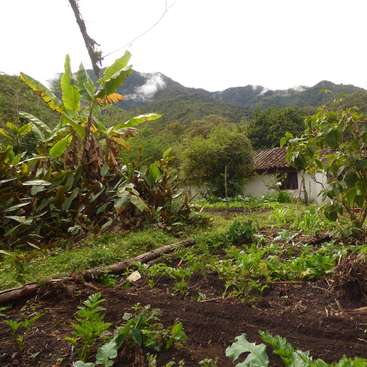The image depicts a serene garden scene with lush greenery, a white building, and a mountainous backdrop, evoking a sense of tranquility and natural beauty.