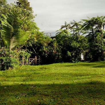 The image depicts a lush, grassy area with trees and bushes, featuring a wooden fence and gate, set against an overcast sky.