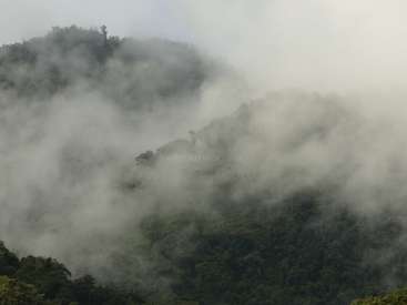 The image depicts a mountainous landscape with trees and fog, featuring a prominent watermark in the center reading \"workaway.info\" in white text.