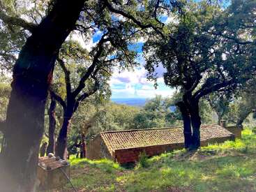 A luz do sol filtra através de árvores altas e frondosas para um edifício rústico de pedra com telhado de telha, aninhado em uma floresta verde e exuberante com vistas distantes para as montanhas.