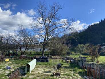 A peaceful rural garden with bare trees, stone pathways, scattered tools, and furniture sits below a vibrant blue sky with fluffy clouds and green hills.