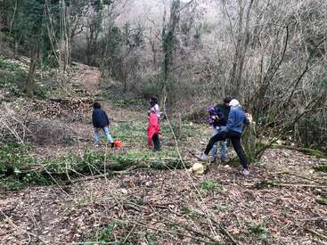 Cuatro personas caminan por un claro del bosque cubierto de ramas caídas y hojas secas. Algunas llevan herramientas, posiblemente trabajando juntas en la limpieza o el mantenimiento de la zona boscosa.