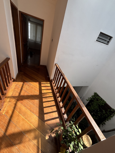Sunlight streams through a window, casting shadows on a polished wooden floor. A staircase with railings leads down, and a green potted plant adds life.