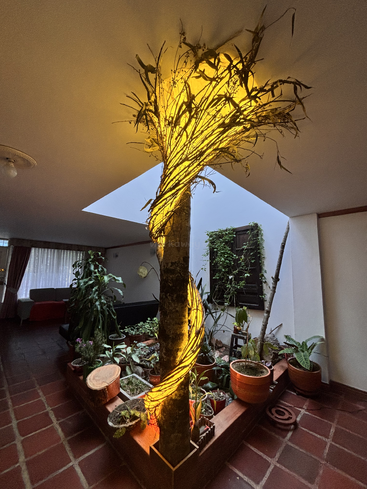 A striking indoor planter features a tree trunk wrapped in a glowing, yellow light that spirals upward, creating a warm, artistic ambiance in the living space.
