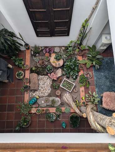 This image shows a cozy indoor garden viewed from above, featuring numerous potted plants, stones, wooden accents, and a rustic window, creating a peaceful green oasis.