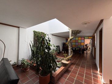 This image shows an indoor courtyard with various plants, a tree, natural light from above, red tiled floor, white walls, and a colorful geometric wall in the background.