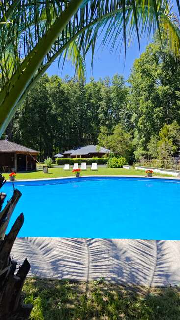Une piscine d'un bleu éclatant est entourée d'une pelouse verdoyante, de palmiers, de chaises longues et de chalets en bois, avec en toile de fond une forêt dense et ensoleillée.