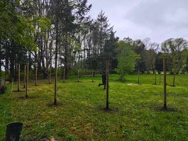 Un champ herbeux avec plusieurs poteaux en bois régulièrement espacés, entourés d'arbres. Une personne marche au milieu, peut-être en train d'installer ou de construire quelque chose à l'extérieur par une journée nuageuse.
