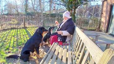 Eine ältere Frau sitzt warm angezogen auf einer Holzbank in einem sonnigen Garten und beschäftigt sich spielerisch mit zwei aufmerksamen Hunden, die vor ihr sitzen.