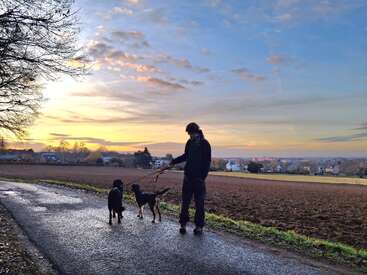 A person stands on a rural road at sunset, holding sticks, accompanied by two dogs. The sky is colorful, overlooking fields and a distant village.