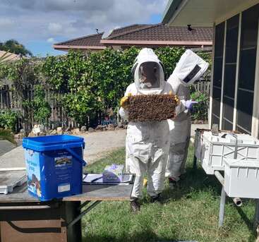 Zwei Personen in weißen Imkeranzügen inspizieren eine mit Bienen besetzte Wabe. Sie stehen draußen, in der Nähe der Ausrüstung, neben einem Haus und einer grünen, belaubten Hecke.