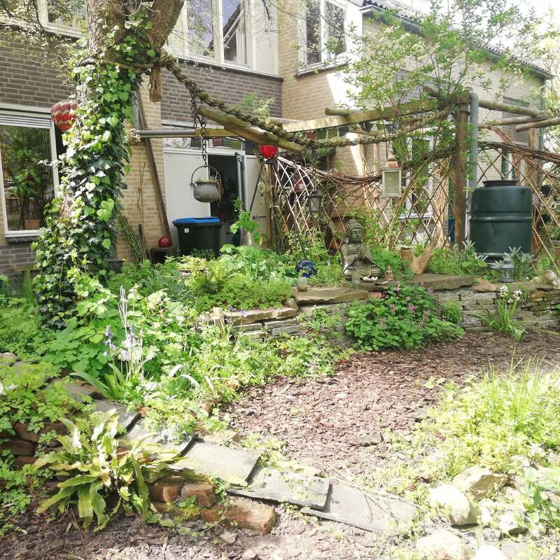 Um jardim verde e exuberante com várias plantas, um caminho de pedra, uma pequena estátua de Buda, um vaso suspenso e estruturas rústicas de madeira ao lado de uma casa de tijolos. Atmosfera tranquila.