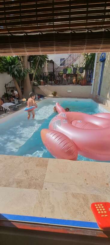 A backyard pool scene with children playing, a large pink flamingo float, adults relaxing, lush green plants, tiled patio, and wooden blinds providing shade overhead.