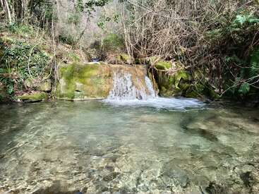 Uma pequena cachoeira de águas cristalinas desce suavemente sobre rochas cobertas de musgo até uma piscina rasa, cercada por uma vegetação densa e galhos entrelaçados, num cenário tranquilo de floresta.