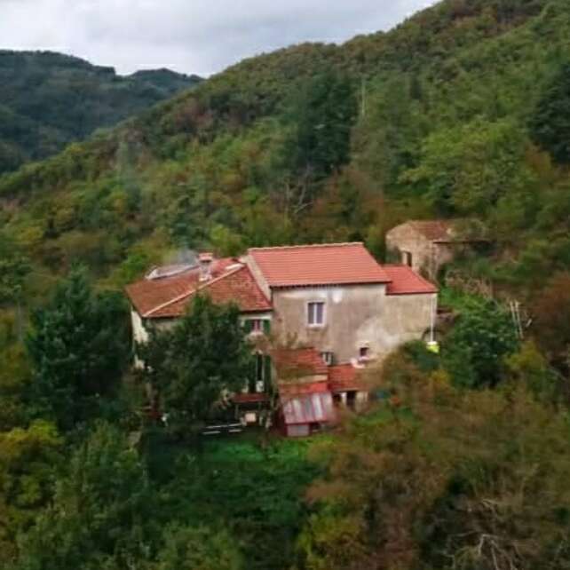 A imagem mostra uma casa serena de dois andares com telhado vermelho, aninhada entre árvores verdes exuberantes em uma encosta, tendo como pano de fundo um céu nublado.