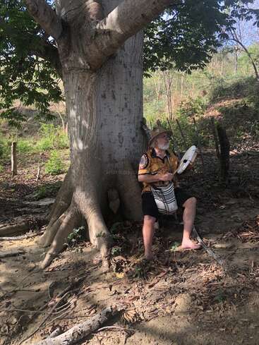 Un hombre mayor con sombrero y traje tradicional se sienta descalzo bajo un gran árbol, tocando un tambor de mano en un entorno natural tranquilo e iluminado por el sol.