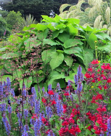 Das Bild zeigt einen lebendigen Garten mit vielen bunten Blumen und üppigem Grün, im Hintergrund sind Bäume zu sehen.