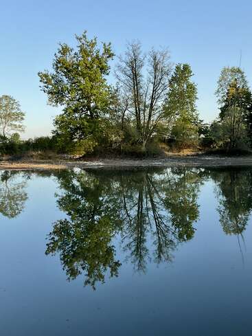 A calm, clear pond perfectly reflects the green trees and blue sky above. The serene landscape exudes peace and tranquility, with vibrant nature surrounding the water.