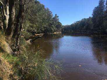 The image depicts a serene river scene with a lush green bank, featuring trees and grass, set against a clear blue sky on a sunny day.