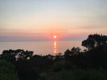 The image depicts a serene sunset over a body of water, with trees in the foreground and a vibrant sky featuring hues of orange, pink, and purple.