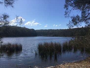 The image depicts a serene lake scene with a blue sky, surrounded by trees and grasses, evoking a sense of calm and tranquility.