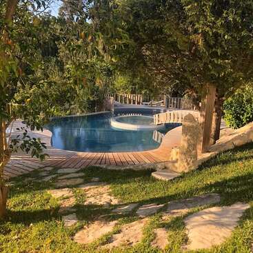 A serene backyard pool curves gracefully, surrounded by wooden decking and lush greenery. Sunlight filters through the trees, creating a tranquil, inviting outdoor oasis.