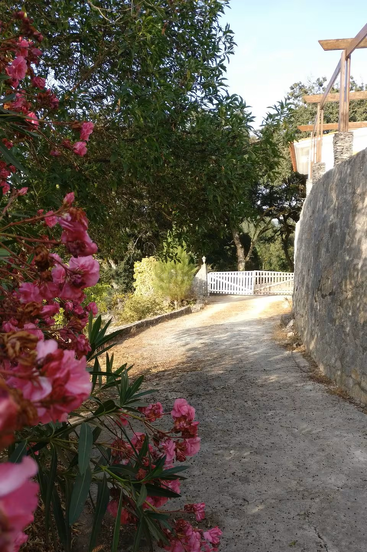 Un sentier pavé baigné de soleil serpente doucement le long d'un mur, bordé de fleurs roses et d'arbres, menant à un portail en bois blanc et à un jardin paisible.