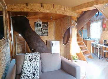 Cet intérieur chaleureux se caractérise par des murs en bois, un canapé gris, un coin cuisine et des troncs d'arbres apparents qui traversent la maison, alliant harmonieusement nature et design rustique moderne.