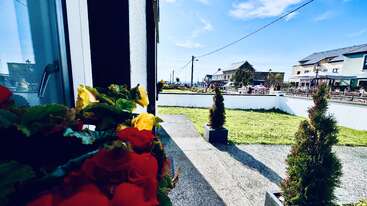 Flores de cores vivas em primeiro plano emolduram uma cena ensolarada de rua suburbana, com casas, gramado verde, pequenas árvores e um céu azul claro ao fundo.