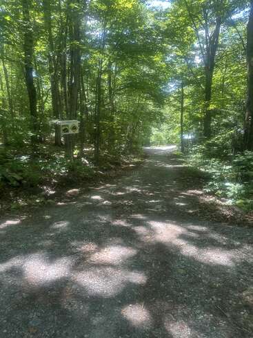 Un chemin de gravier serpente à travers une forêt ensoleillée. Des arbres verts fournissent de l'ombre et un panneau d'avertissement est visible sur la gauche, signalant la présence d'animaux sauvages à proximité.