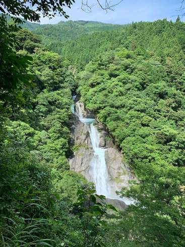 L'image représente une cascade sereine dévalant une falaise rocheuse, entourée de verdure et d'arbres luxuriants, sur fond de ciel bleu clair.