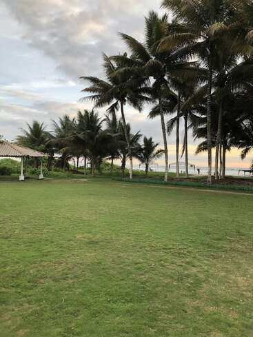 Um gramado verdejante se estende até a praia, ladeado por altos coqueiros; um céu nublado paira acima, criando uma atmosfera tranquila de paraíso tropical.