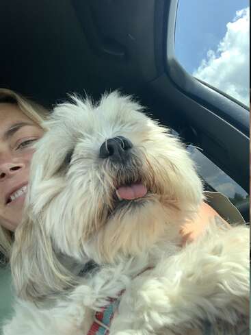 Una mujer sonríe mientras sostiene a su esponjoso perro blanco en un coche. El perro parece feliz con la lengua fuera. Cielo azul brillante y nubes en el exterior.