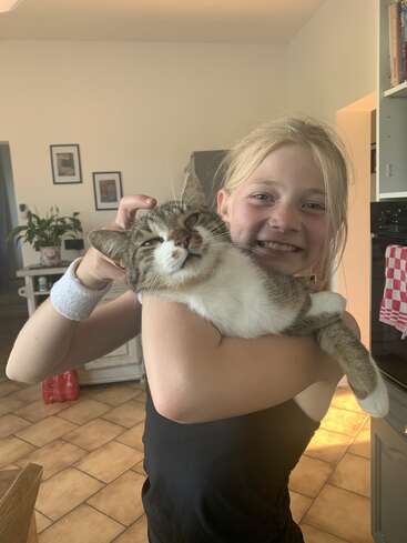 Una sonriente niña de pelo rubio abraza a un relajado gato atigrado en una acogedora cocina iluminada por el sol. El ambiente es cálido, hogareño y lleno de alegría.