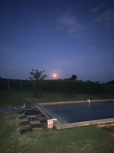 Una serena vista nocturna de una piscina en el patio trasero, césped y árboles. La luna brilla en el horizonte, iluminando el apacible paisaje bajo un cielo oscuro.