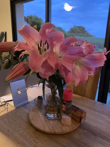 Sobre una mesa de madera, junto a una ventana, hay un jarrón con lirios de color rosa intenso, un molinillo de sal, una vela y un exuberante paisaje nocturno.