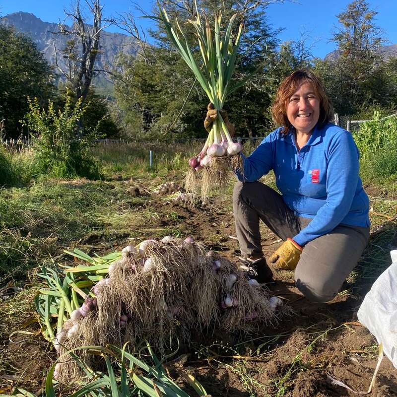 A woman kneels in a field, smiling proudly while holding freshly harvested garlic. Piles of garlic lay on the ground. Trees and mountains are in the background.